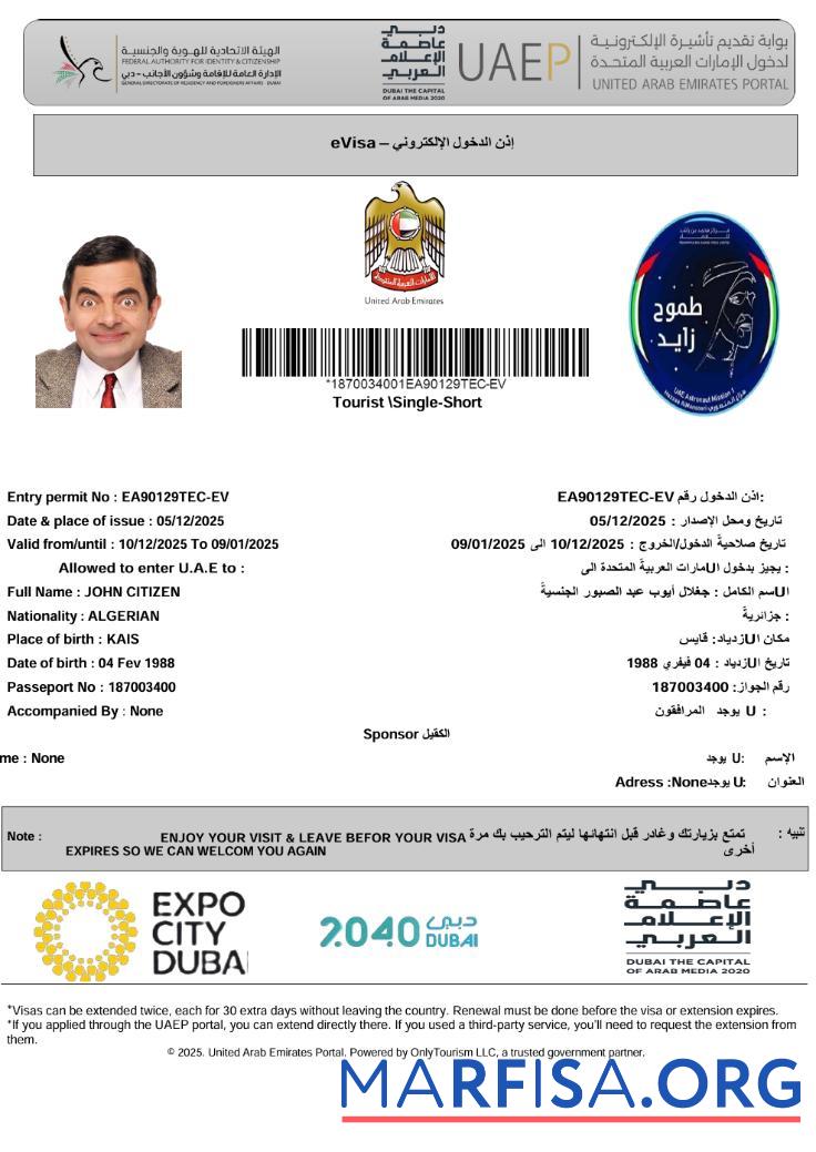 Blank Uae e visa template in Word and Pdf formats, version 2